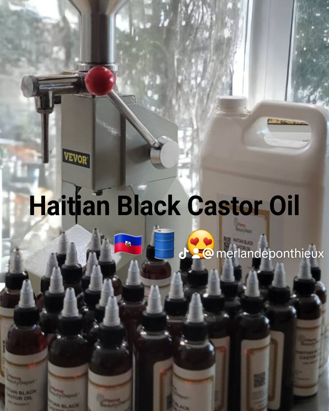 Haitian Black Castor Oil (lwil maskriti)