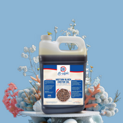 Haitian Black Castor Oil (lwil maskriti)